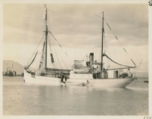 Image: Quest, Shackleton's ship at one time